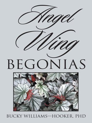 cover image of Angel Wing Begonias